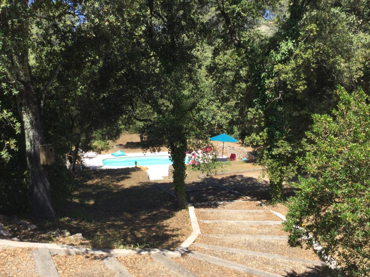 Villa Bleucassis Taradeau 외부 사진